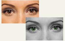 Ojos Verdes